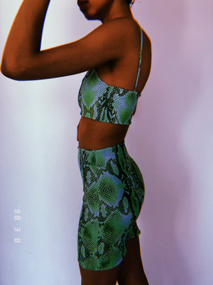 Green Snake Print Crop Set