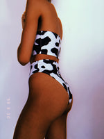 Cow Swim