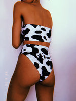 Cow Swim