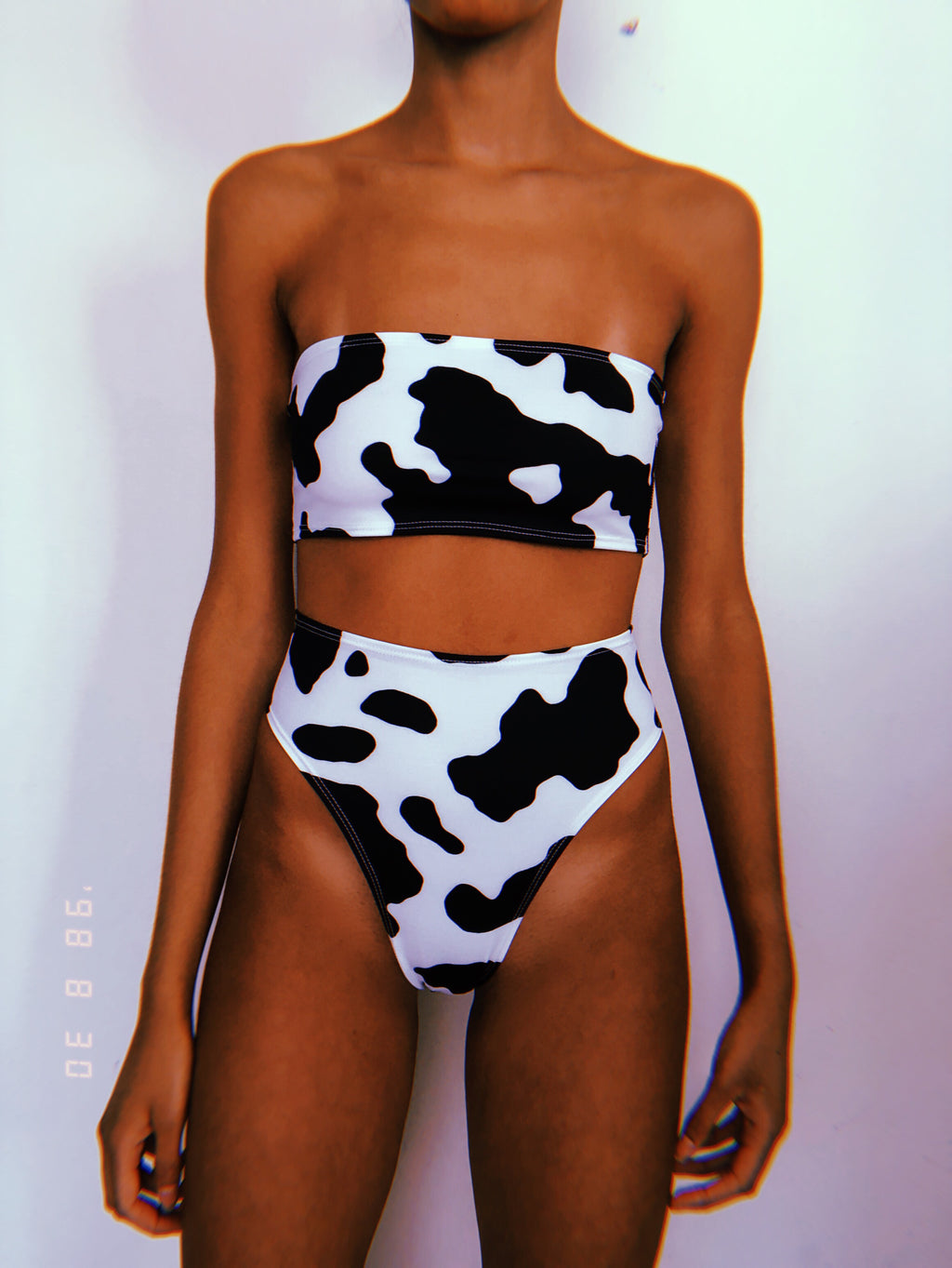 Cow Swim